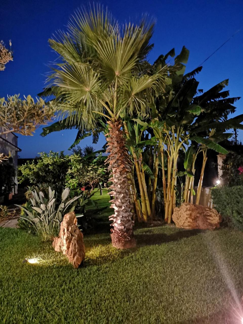 Villa Araucaria Партинико Экстерьер фото