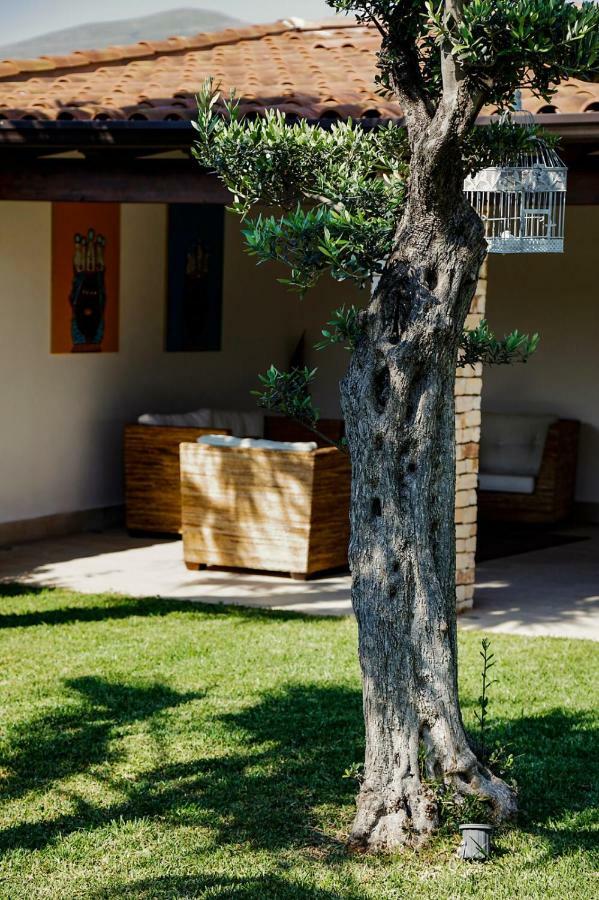 Villa Araucaria Партинико Экстерьер фото
